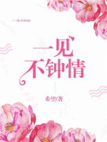 一见不钟情电视剧免费观看