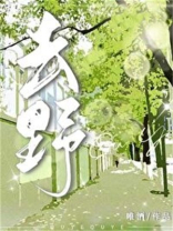 去野民宿
