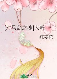 对马岛之魂全攻略