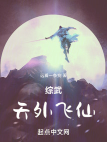 综武:天外飞仙