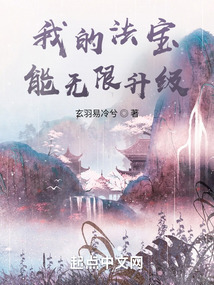 我的法宝能无限升级TXT下载