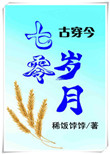 七零岁月[古穿今] 木子西洲