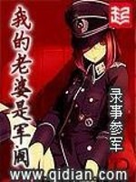 我的老婆是军阀女主几个
