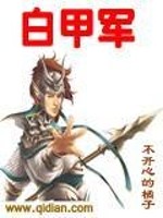 白甲军小说好看吗