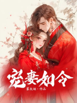 宠妻如令百度云