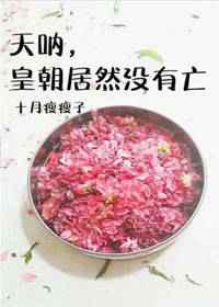 天呐皇朝居然没有亡