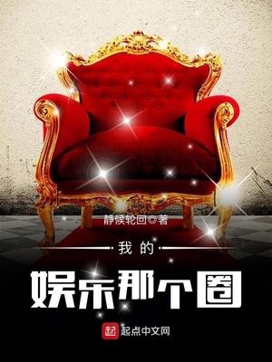 我的娱乐那个圈 小说