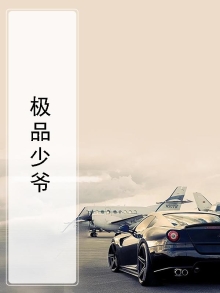 极品少爷