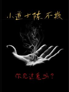 小道士陈不欺小说最新章节更新免费阅读